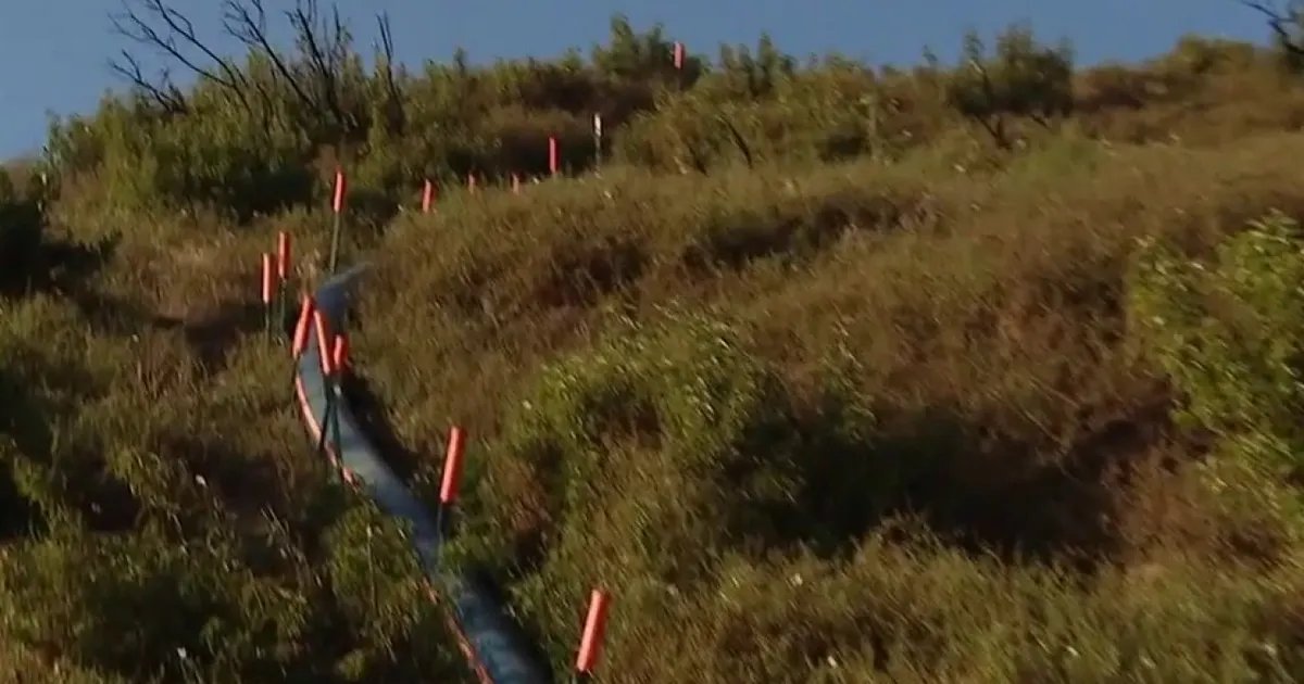 Fire Risks Increase in Pacific Palisades as Brush Accumulates and Reservoir Stays Offline
