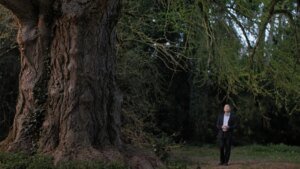 Ildikó Enyedi's Venice Prize-Winning Film 'Silent Friend' Opens Strong in Limited Release