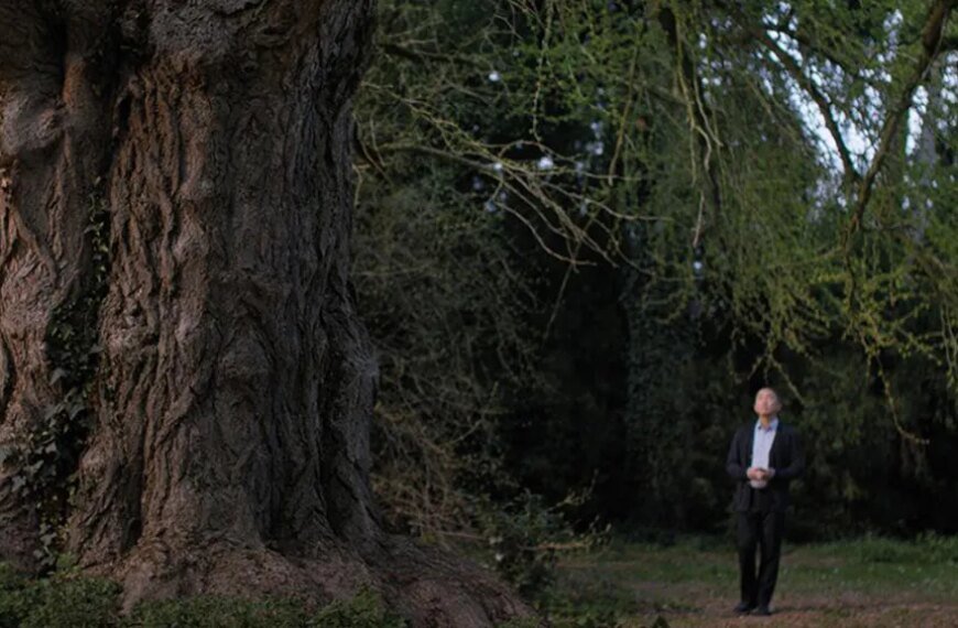 Ildikó Enyedi's Venice Prize-Winning Film 'Silent Friend' Opens Strong in Limited Release