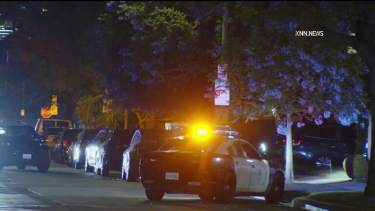 Jewelry Stolen During Home Break-In in Beverlywood Before Suspect's Arrest