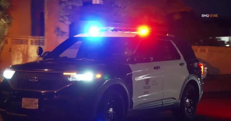 LAPD Takes Action: Arrest Made in Connection with 25 Burglary Cases in LA