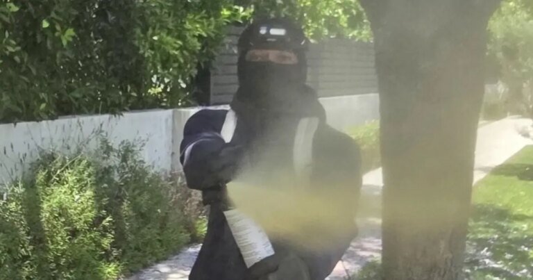Local Man Steps In to Help Neighbors During a Break-In Incident in San Fernando Valley