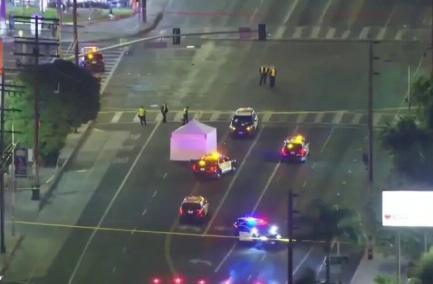 Man Taken into Custody Following Fatal Hit-and-Run Incident in Van Nuys
