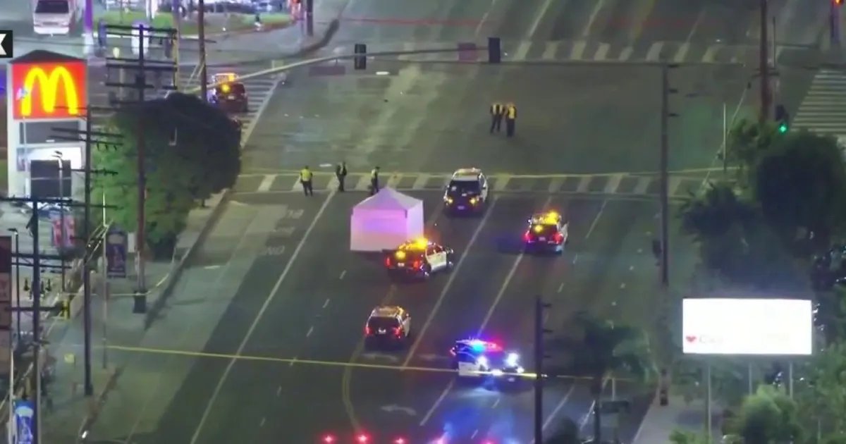 Man Taken into Custody Following Fatal Hit-and-Run Incident in Van Nuys