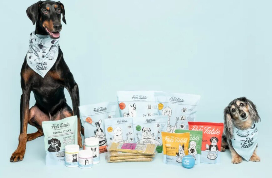 Many Dog Owners Are Choosing This Personalized Meal Service, and They Are Loving the Results