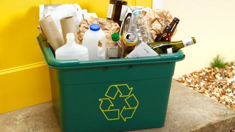 Orange County Introduces Eco-Friendly Curriculum for Students