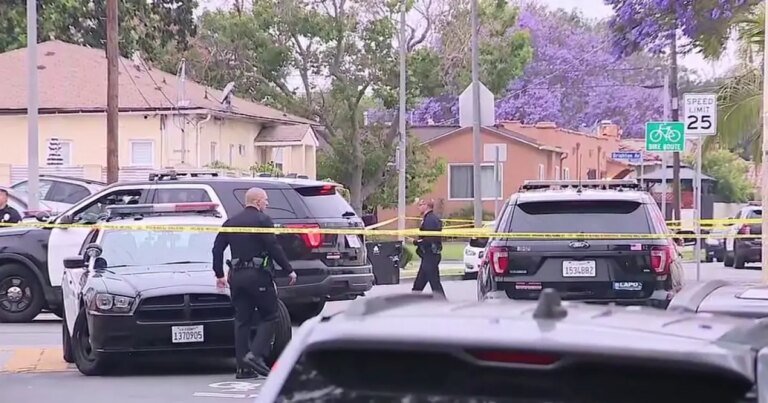 Police Involved Shooting of Suspected Knife-Wielder in South LA