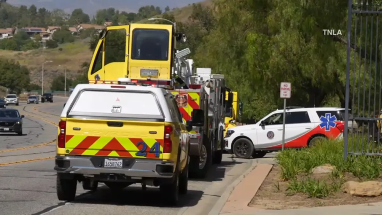 Rattlesnake Bite Alert: Important Safety Tips for Simi Valley Hikers