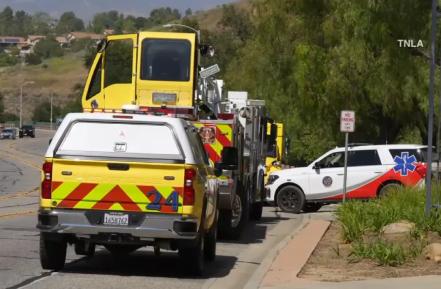 Rattlesnake Bite Alert: Important Safety Tips for Simi Valley Hikers