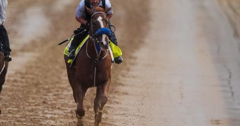 Right to Party Withdraws from Kentucky Derby, Paving the Way for Robusta