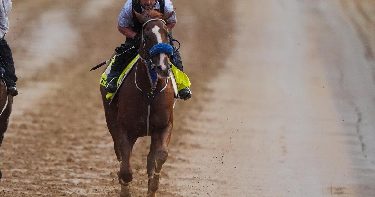 Right to Party Withdraws from Kentucky Derby, Paving the Way for Robusta