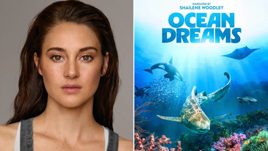 Shailene Woodley Tells the Story of 'Ocean Dreams' in New Documentary – Check Out the Trailer