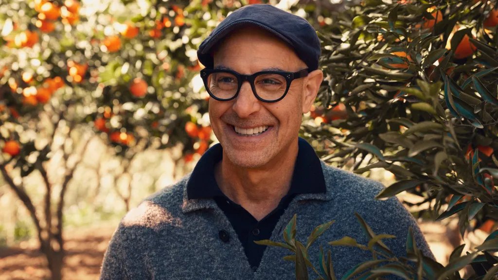 Stanley Tucci Shares His Thoughts on Food Competition Shows: Why He Just Can't Get Into Them