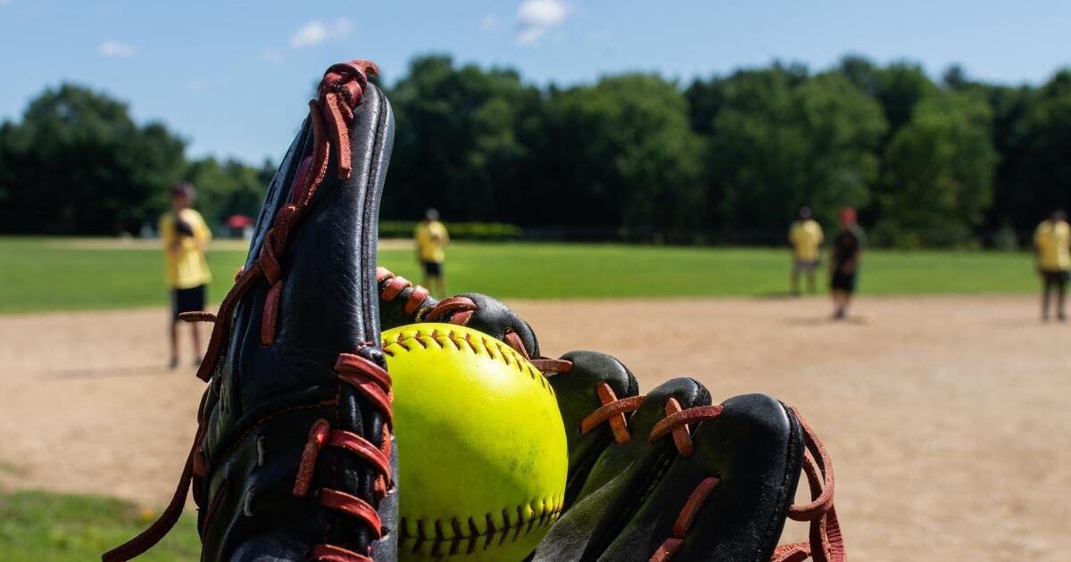Thursday's High School Baseball and Softball Scores