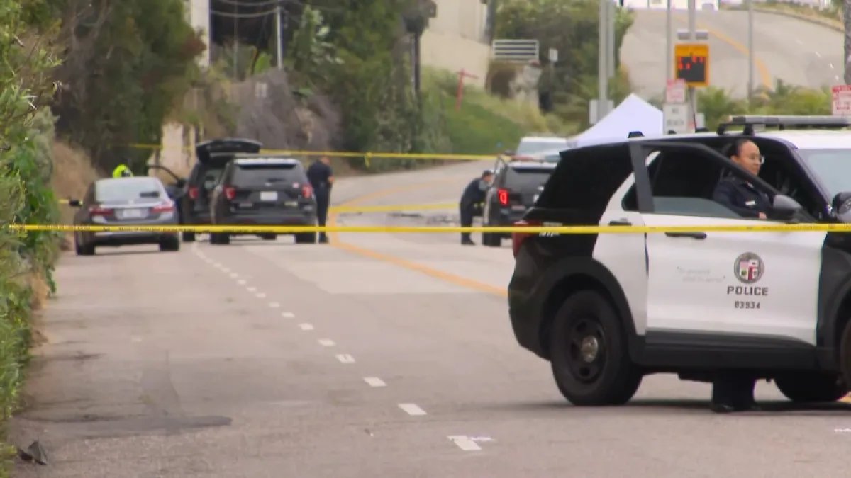 Tragic Hit-and-Run Claims Lives of Young Child and Man in Playa del Rey