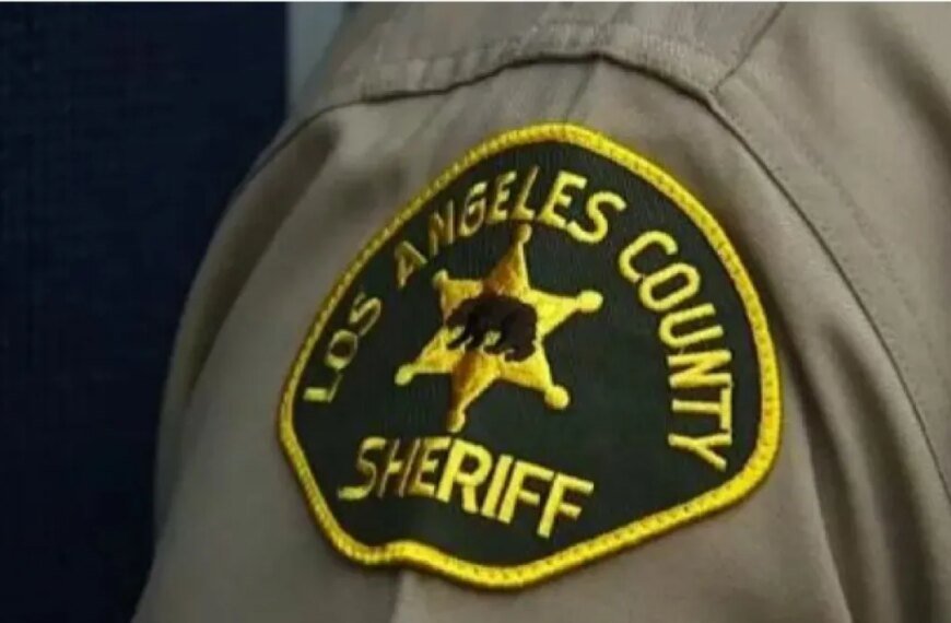 Two People Arrested in Fake Luxury Goods Bust in Downtown LA