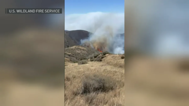 Wildfire Burns Over 10,000 Acres on Santa Rosa Island, According to Cal Fire