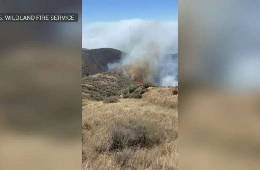 Wildfire Burns Over 10,000 Acres on Santa Rosa Island, According to Cal Fire